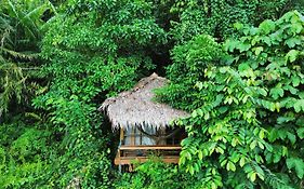 Thejungleguide - Lodges & Treks