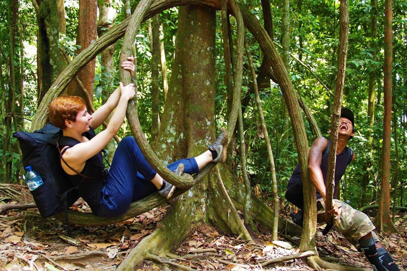 Thejungleguide - Lodges & Treks Bukit Lawang Exterior foto