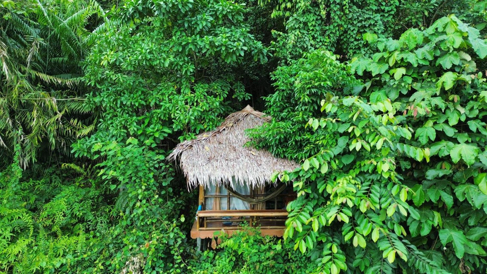 Thejungleguide - Lodges & Treks Bukit Lawang Exterior foto